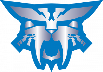 Spirit Cats logo.png
