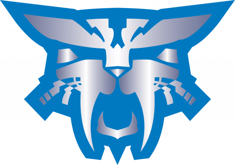 File:Spirit Cats logo.png